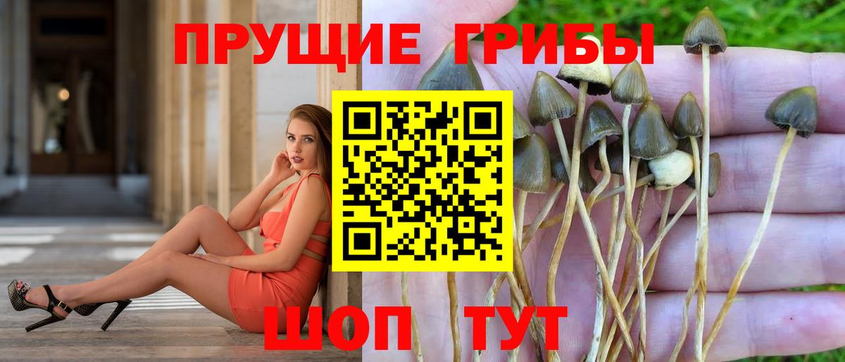 Галлюциногенные грибы мухоморы Белорецк