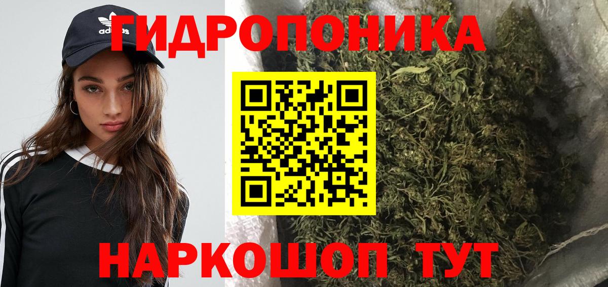 Бошки марихуана тримм  Вход с VPN  Бошки Шишки Bruce Banner  Белорецк 